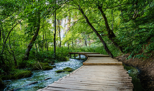 克罗地亚普利维茨湖公园一小溪旁有绿树的小溪边图片