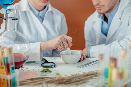 实验室中植物和花生菜的生物学家的图片