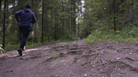 健康的年轻人在树林里奔跑年轻的运动员图片