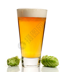 玻璃啤酒与Hop锥子隔离图片