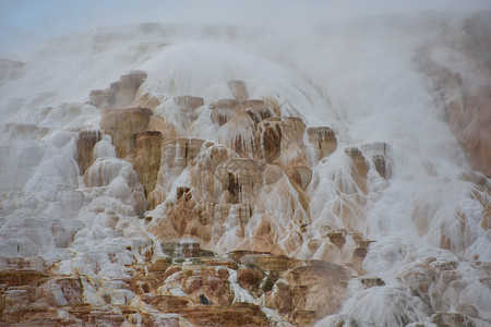 黄石公园的猛犸温泉图片