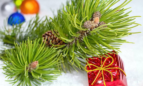 最美的节日圣诞节圣诞节的时候松枝与松果作为圣诞图片