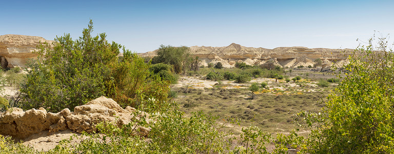 纳米贝沙漠的干图片