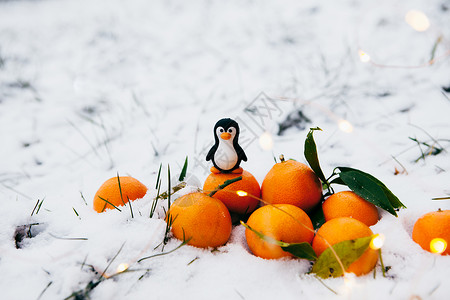 玩具企鹅和雪中的橘子图片