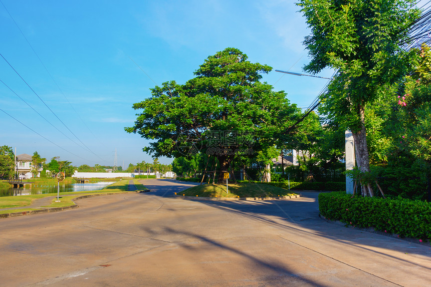 大树村水泥路图片