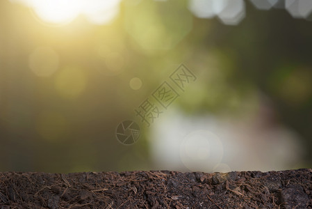 以阳光布基背景生长的土壤概念农业图片
