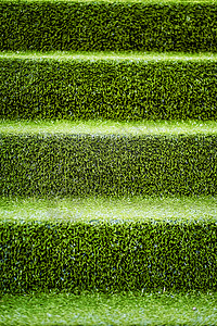 用绿草盖的台阶图片