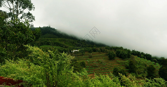 雾山云过印度山景图片