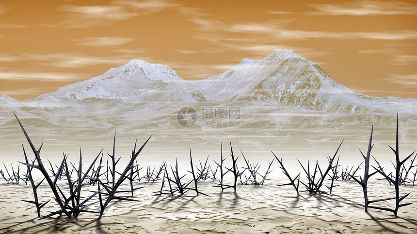 在高山背景的冬季沙漠里有干枯的神秘树林景图片