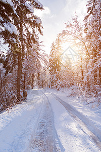 冬天森林里的白雪覆盖的道路图片
