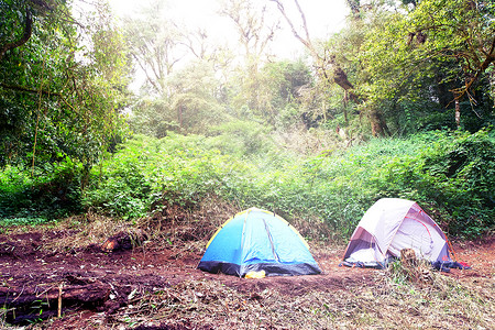 在森林中露营旅游帐篷概念旅图片