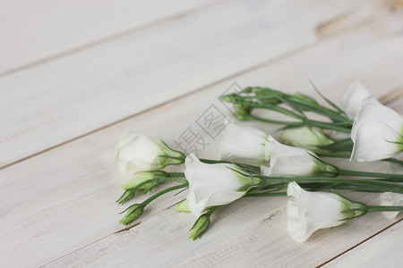 白色木制背景上的洋桔梗花背景图片
