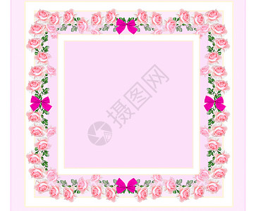 玫瑰花蕾框架花卉背景图片