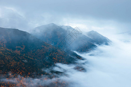 云雾缭绕的山景山峰之上图片