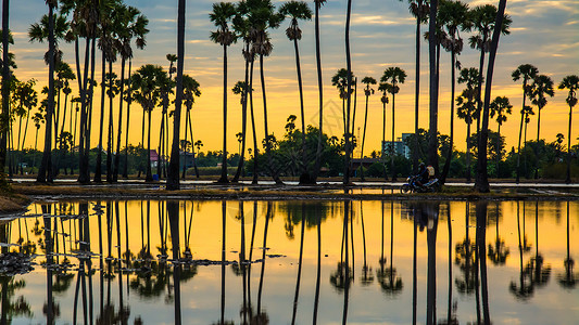 泰国黄昏时分的棕榈树景观图片