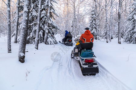 在南乌拉尔山脉的冬季森林里移动一辆雪地车图片
