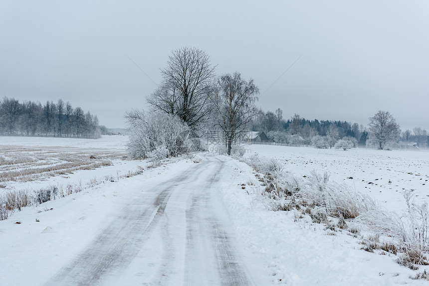 冬天路上的车胎轨迹在孤寂图片