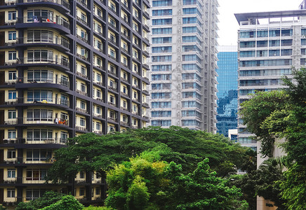 新鲜的绿色和建筑大都会的树木图片