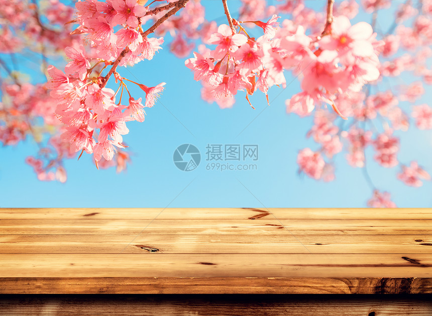 上层的木桌空着供您在春季产品和食品展示或与天空背景的粉红樱花saku图片