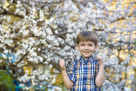 春天的幼儿男孩在花树附近微笑图片
