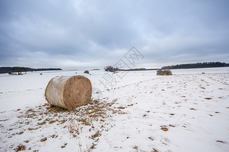 冬天的田野里有一个干草球在雪地里图片