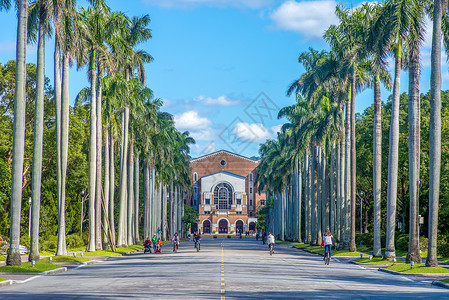 大学皇家棕榈大道图片