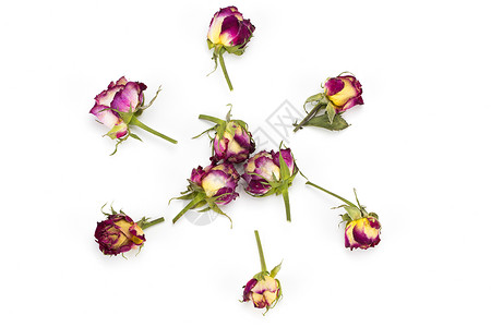 鲜花的构成干玫瑰花做的框架平底板图片