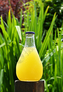 用于提神的橙色饮料热量饮料这是一种含橙图片