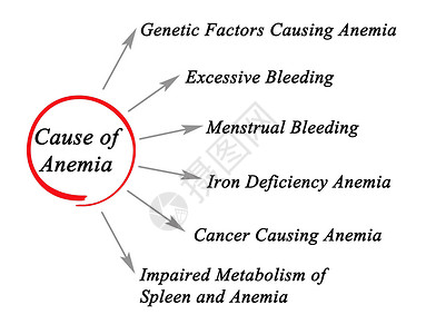 贫血六因图片
