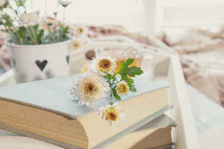 放在桌上的书上沾满了菊花舒适的家图片