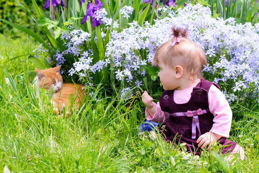 一位美丽的乌克兰小女孩与一只矿石猫一起在草坪上玩耍图片