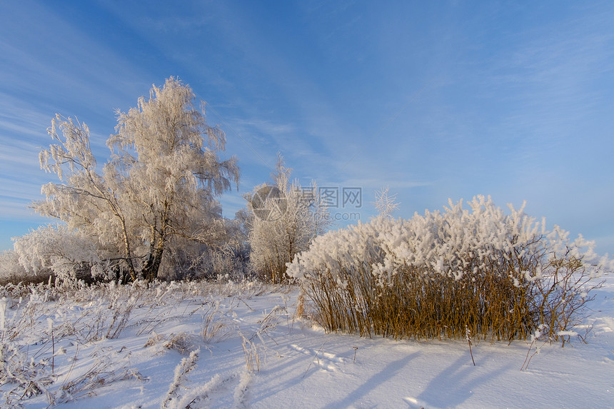 美丽的冬季乡村景观图片