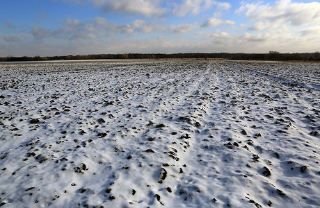 雪下农田的冬季景观图片