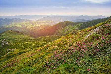 风景自然和山的概念夏天风景山图片