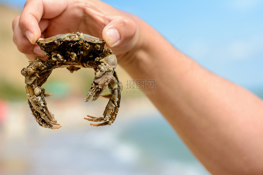 有一次在乌克兰海滩度假我们享受着美丽的螃蟹和我们一图片