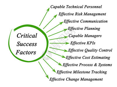 十一个关键成功因素图片