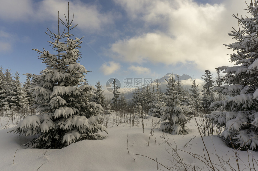 塔特拉山脉美丽的冬季景色T图片