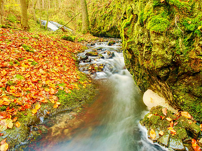 秋季盛惠漂白的叶子和泡沫般的快速流水在微粒结石之间流淌背景