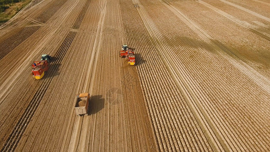 农场机械收割马铃薯农民田图片