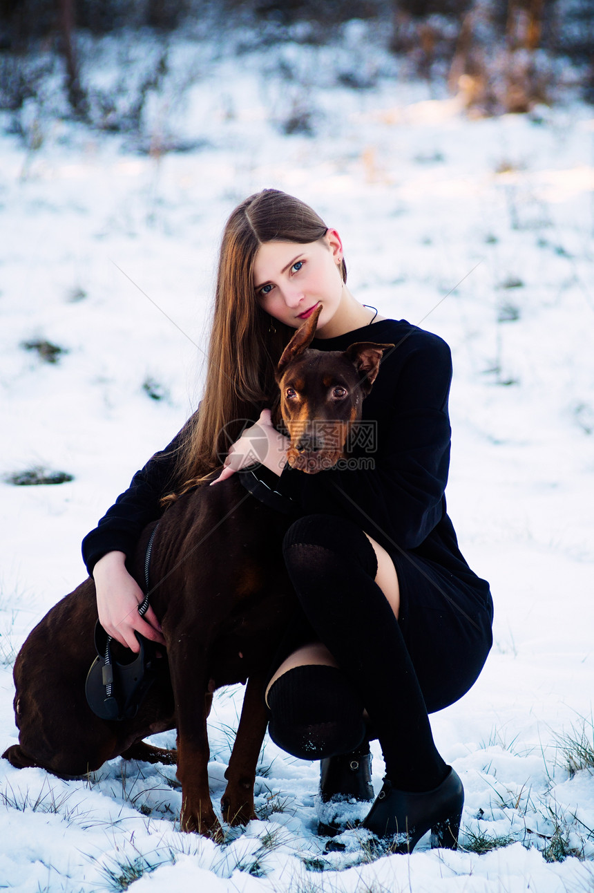 年轻美丽的女孩带着她的狗多伯曼种在冬季公园散步图片