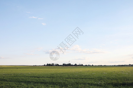 城外的风景草地和蓝天村田的日落图片