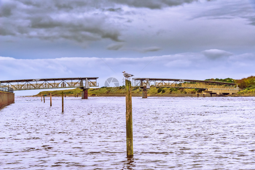 欧文苏格兰旧废弃步道和海鸥在欧文港涨潮时的柱子上柱子上图片