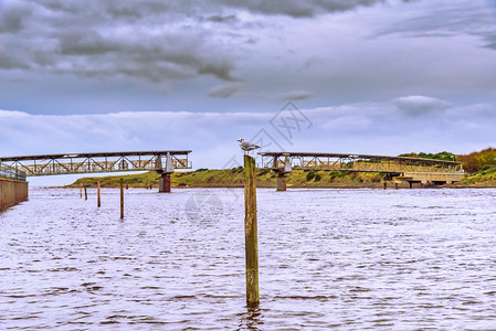 欧文苏格兰旧废弃步道和海鸥在欧文港涨潮时的柱子上柱子上图片