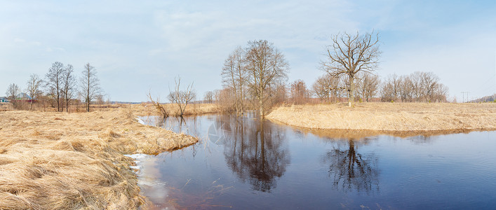 春天树木被淹的河流图片