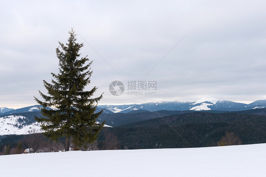 以山为背景的冬季全景观