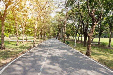 漫长路绿地图片