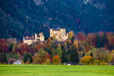 德国巴伐利亚霍亨施旺高城堡的图片