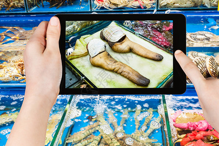旅游概念游客在平板电脑上拍摄春季广州市黄沙水产品交易市背景图片
