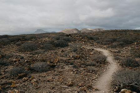 孤单地穿过沙漠丛林和远处的山丘Ten图片
