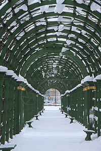 冬天在公园的巷子旁的一个图片